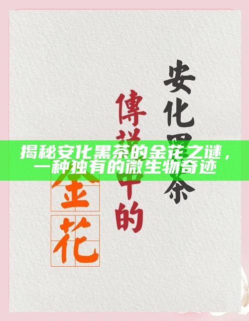 揭秘安化黑茶的金花之谜,一种独有的微生物奇迹