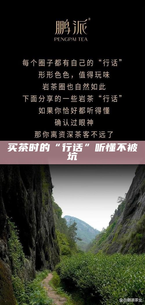 买茶时的“行话”听懂不被坑